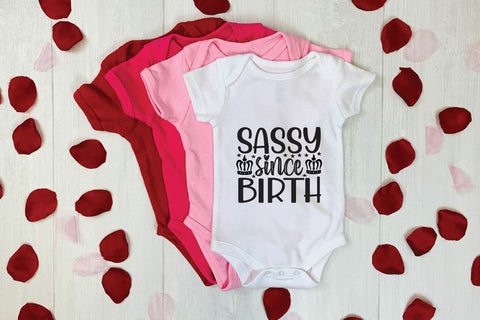 sassy svg bundle vol 7 SVG buydesign 