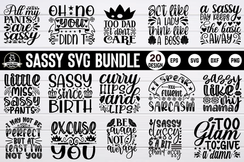sassy svg bundle vol 7 SVG buydesign 