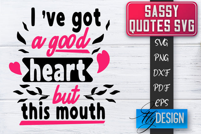Sassy SVG | Sassy Quotes SVG | Sarcastic Sayings SVG SVG Fly Design 