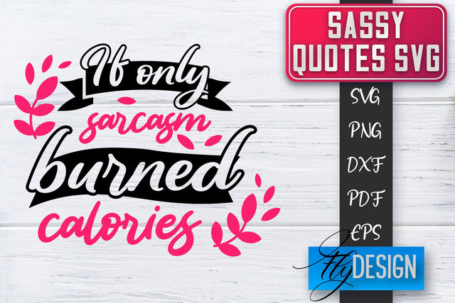 Sassy SVG | Sassy Quotes SVG | Sarcastic Sayings SVG SVG Fly Design 