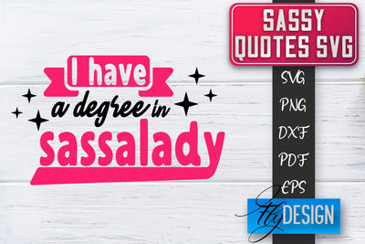 Sassy SVG | Sassy Quotes SVG | Sarcastic Sayings SVG SVG Fly Design 