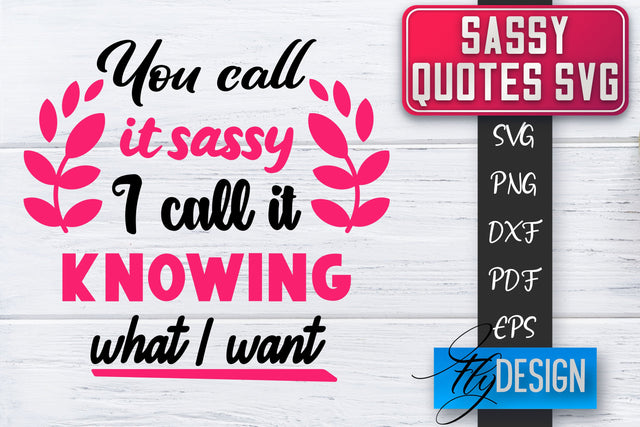 Sassy SVG | Sassy Quotes SVG | Sarcastic Sayings SVG SVG Fly Design 