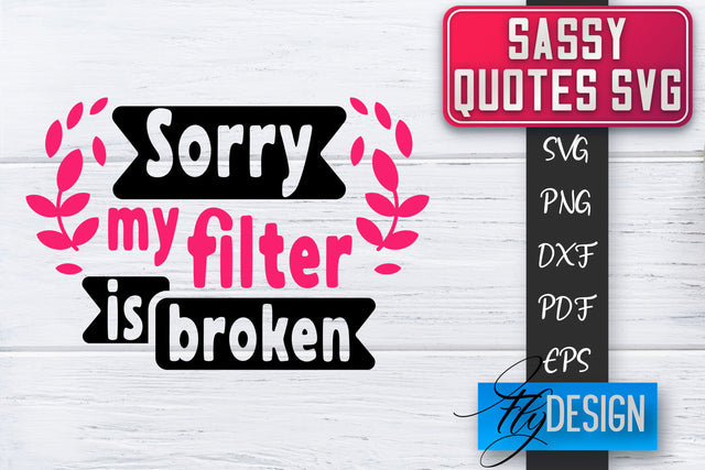 Sassy SVG | Sassy Quotes SVG | Sarcastic Sayings SVG SVG Fly Design 