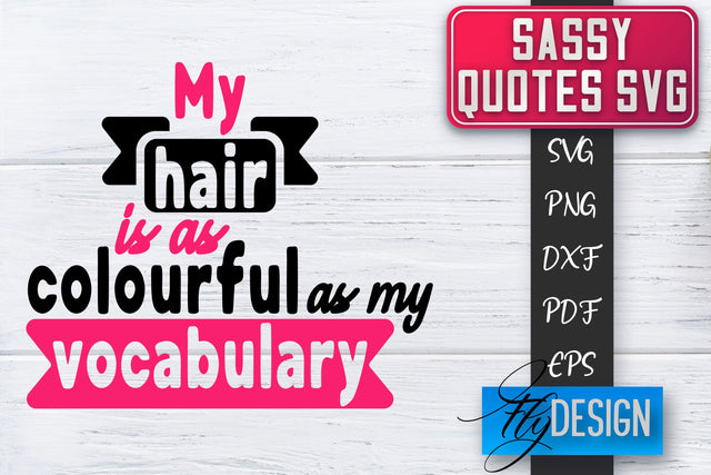 Sassy SVG | Sassy Quotes SVG | Sarcastic Sayings SVG SVG Fly Design 