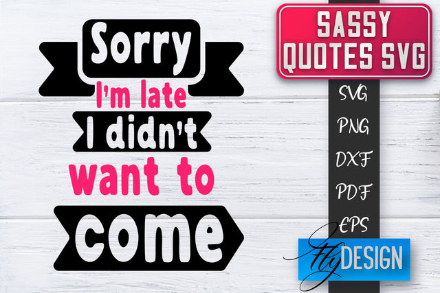 Sassy SVG | Sassy Quotes SVG | Sarcastic Sayings SVG SVG Fly Design 