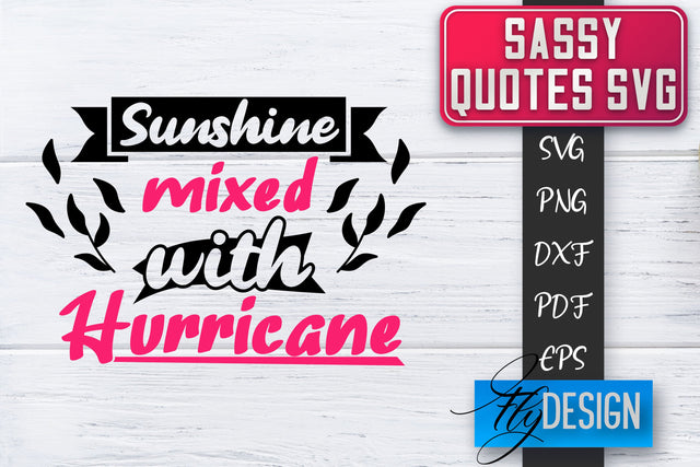 Sassy SVG | Sassy Quotes SVG | Sarcastic Sayings SVG SVG Fly Design 