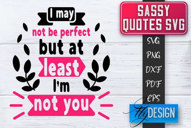 Sassy SVG | Sassy Quotes SVG | Sarcastic Sayings SVG SVG Fly Design 