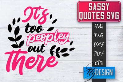 Sassy SVG | Sassy Quotes SVG | Sarcastic Sayings SVG SVG Fly Design 