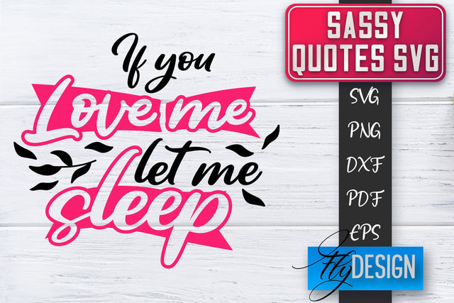 Sassy SVG | Sassy Quotes SVG | Sarcastic Sayings SVG SVG Fly Design 