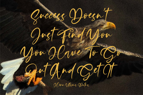 Satisfield Font Letterena Studios 