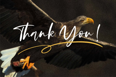 Satisfield Font Letterena Studios 