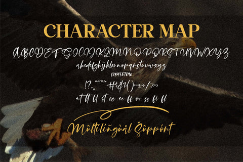 Satisfield Font Letterena Studios 