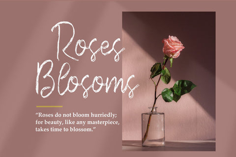 Satnight Font Zeenesia Std 