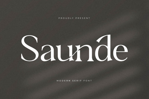 Saunde Typeface Font Storytype Studio 