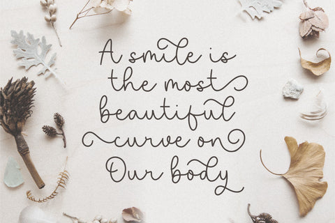 saylora is a Beautiful Monoline Script Font Font Balpirick 