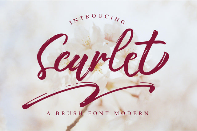Scarlet Brush Font Font nearzz 