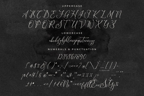 Scarlet Flettcher - Elegant Calligraphy Font Font Storytype Studio 