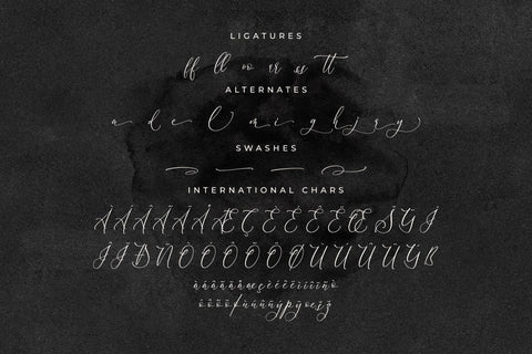 Scarlet Flettcher - Elegant Calligraphy Font Font Storytype Studio 