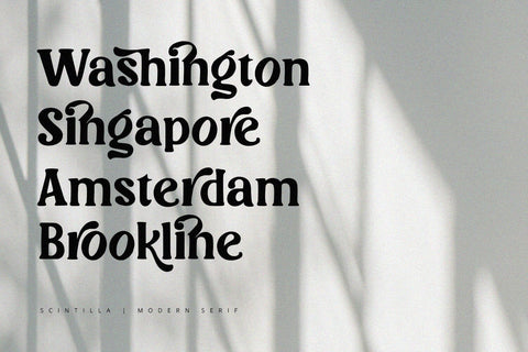 Scintilla - Modern Serif Font Font Alpaprana Studio 