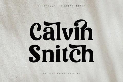 Scintilla - Modern Serif Font Font Alpaprana Studio 