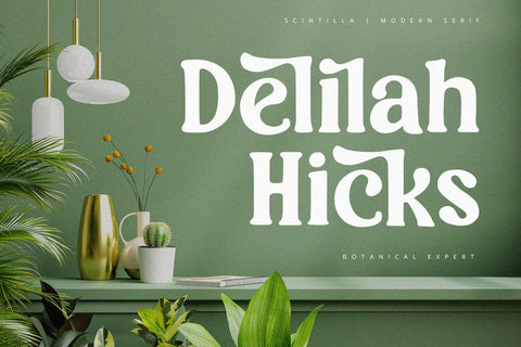 Scintilla - Modern Serif Font Font Alpaprana Studio 