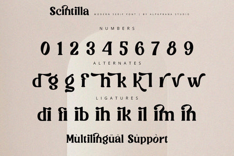 Scintilla - Modern Serif Font Font Alpaprana Studio 