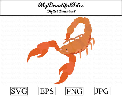 scorpion - animal SVG MyBeautifulFiles 