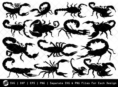 Scorpion SVG | Insect SVG | Silhouette Bundle | SVG Cut File SVG ETC Craft 