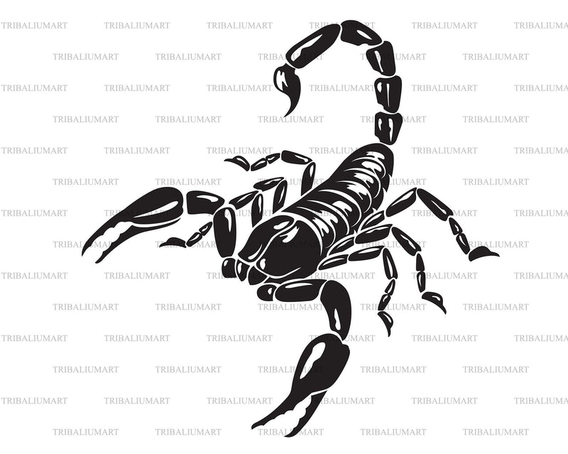 Scorpion SVG TribaliumArtSF 