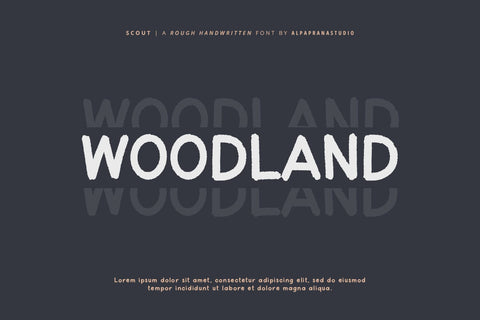 Scout - Rough Handwritten Font Font Alpaprana Studio 