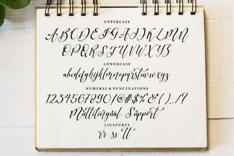 Scripthome Font Qwrtype Foundry 