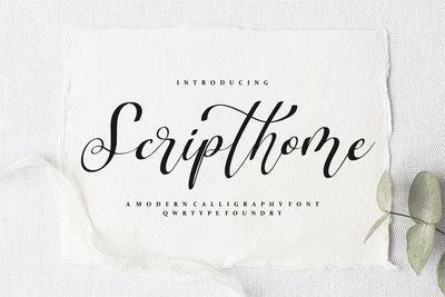 Scripthome Font Qwrtype Foundry 