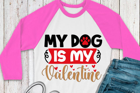 SD0017 - 12 My dog is my valentine SVG Designangry 