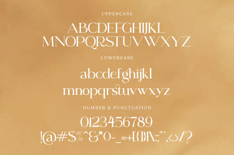 Sea Angel Font Zane Studio55 