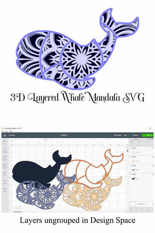 Sea Animal Mandala Bundle 1: Starfish, Whale, Seahorse, Sea Turtle, Shell SVG Digital Honeybee 