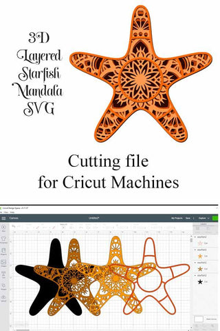 Sea Animal Mandala Bundle 1: Starfish, Whale, Seahorse, Sea Turtle, Shell SVG Digital Honeybee 