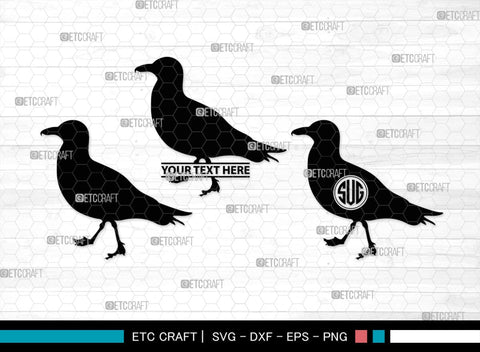 Seagull Monogram, Seagull Silhouette, Seagull SVG, Seagull Bird Svg, Seagull Wings Svg, Flying Seagull Svg, Bird Flying Svg, SB00314 SVG ETC Craft 