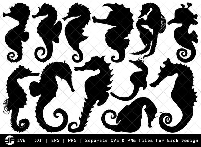 Seahorse SVG | Animal SVG | Silhouette Bundle | Cut File SVG ETC Craft 