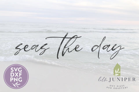 Seas the Day SVG | Beach House Sign | Summer SVG SVG LilleJuniper 
