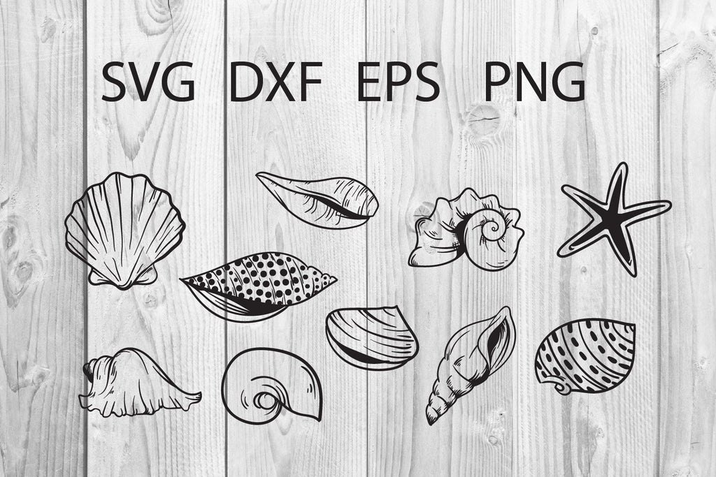 Shell Dxf Seashell hand drawn eps, dxf, png, svg Cut File Svg - So Fontsy