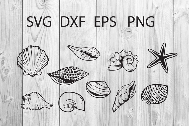 Seashell hand drawn eps, dxf, png, svg Cut File Svg SVG dadan_pm 