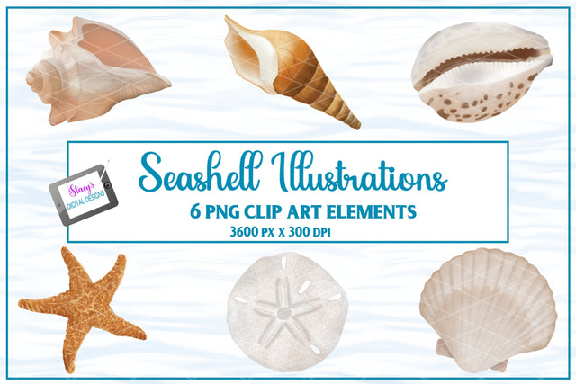Seashell Illustrations | 6 Shells | Seashells Clip Art PNGs Sublimation Stacy's Digital Designs 