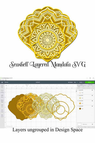 Seashell Mandala Bundle 3D Layered SVG files, 5 Different Designs SVG Digital Honeybee 