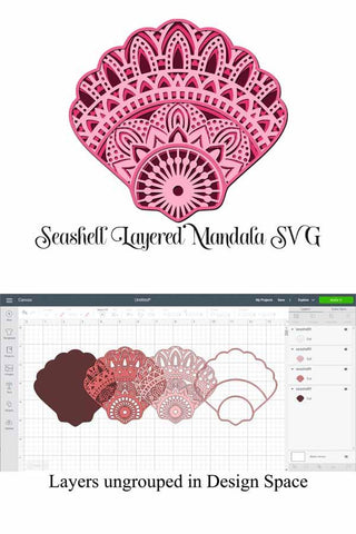 Seashell Mandala Bundle 3D Layered SVG files, 5 Different Designs SVG Digital Honeybee 