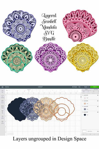 Seashell Mandala Bundle 3D Layered SVG files, 5 Different Designs SVG Digital Honeybee 