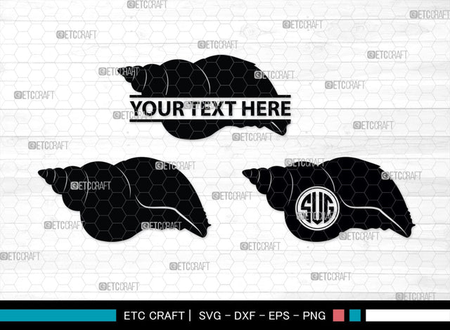 Seashell Monogram, Seashell Silhouette, Seashell SVG, Shell Svg, Scallop Fish Svg, Cockle Svg, Starfish Svg, SB00316 SVG ETC Craft 