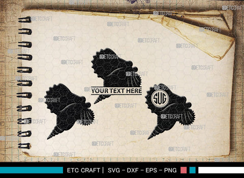 Seashell Monogram, Seashell Silhouette, Seashell SVG, Shell Svg, Scallop Fish Svg, Cockle Svg, Starfish Svg, SB00316 SVG ETC Craft 