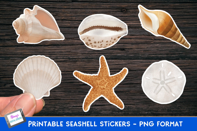 Seashell Stickers | 8 Printable Stickers | Beach Stickers SVG Stacy's Digital Designs 