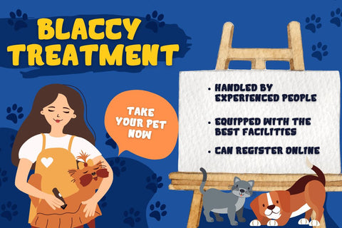 Sedifo Font twinletter 