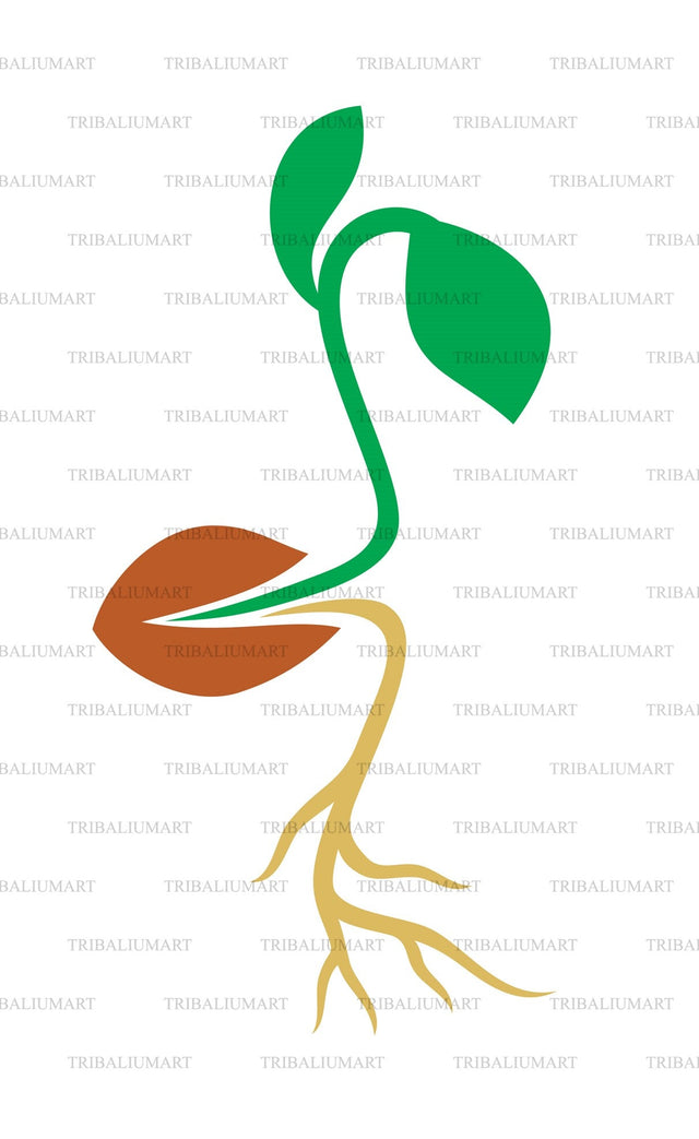 Seed (plant growing design) SVG TribaliumArtSF 